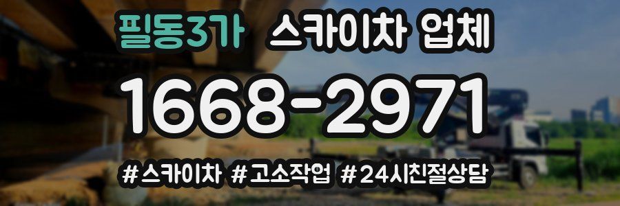필동3가 스카이차 업체