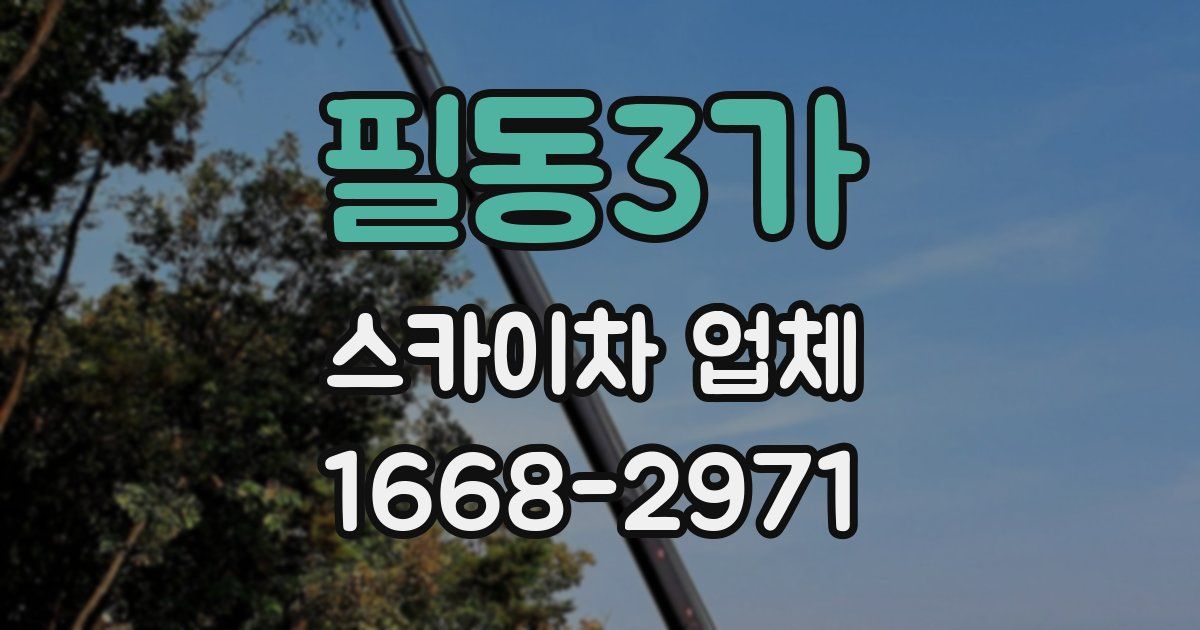 필동3가 스카이차 업체