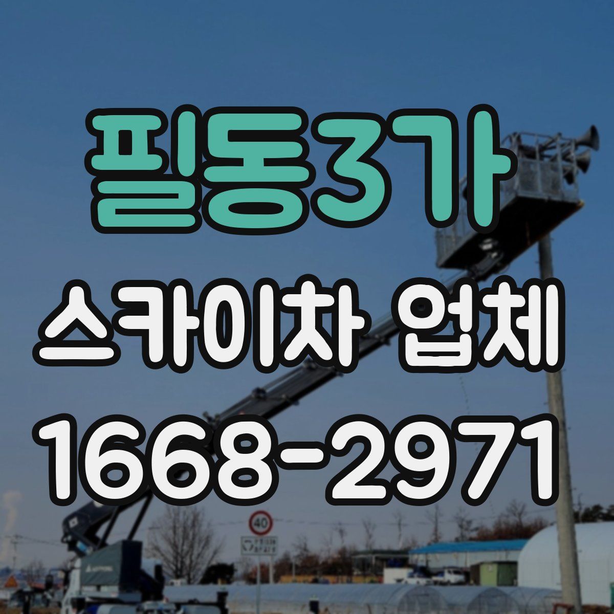 필동3가 스카이차 업체