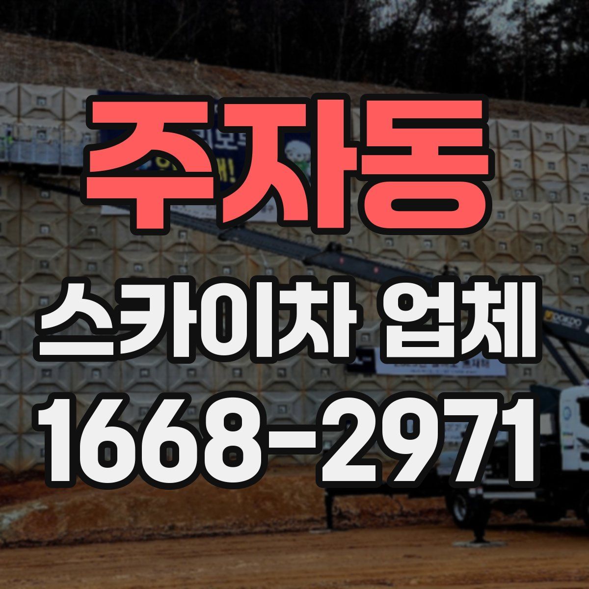주자동 스카이차 업체
