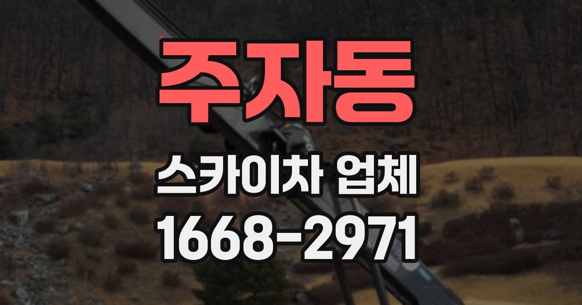 주자동 스카이차 업체