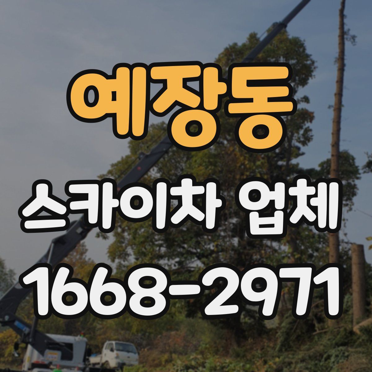 예장동 스카이차 업체