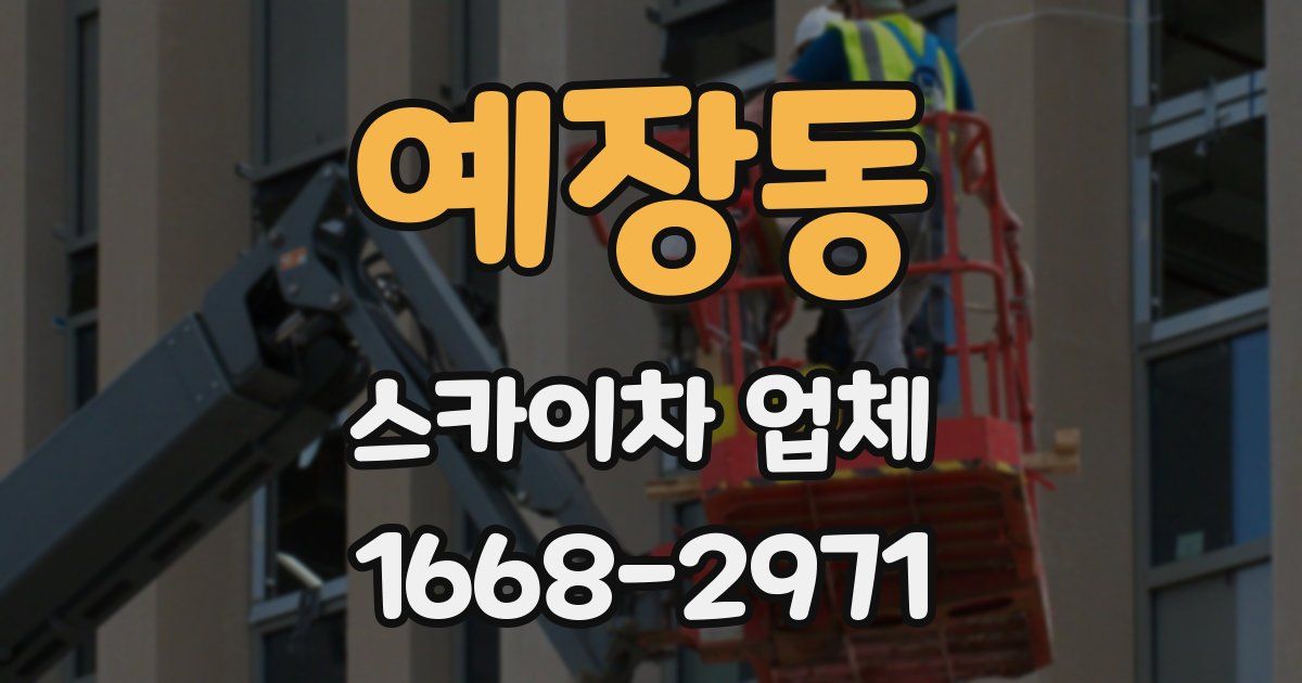 예장동 스카이차 업체