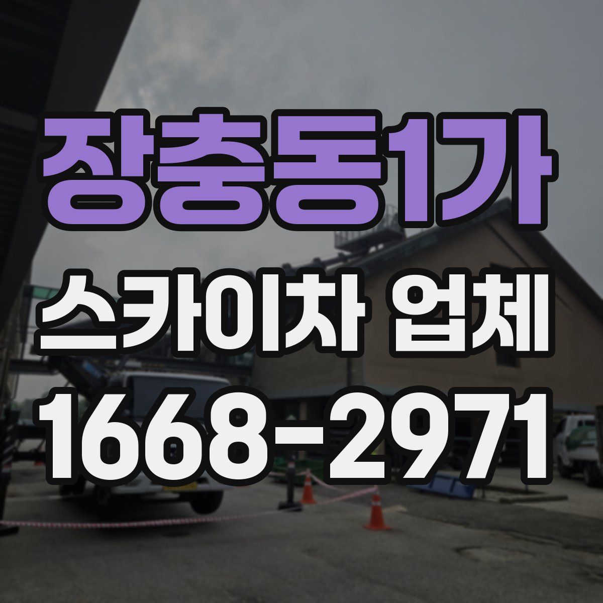 장충동1가 스카이차 업체