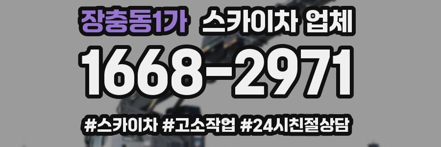 장충동1가 스카이차 업체