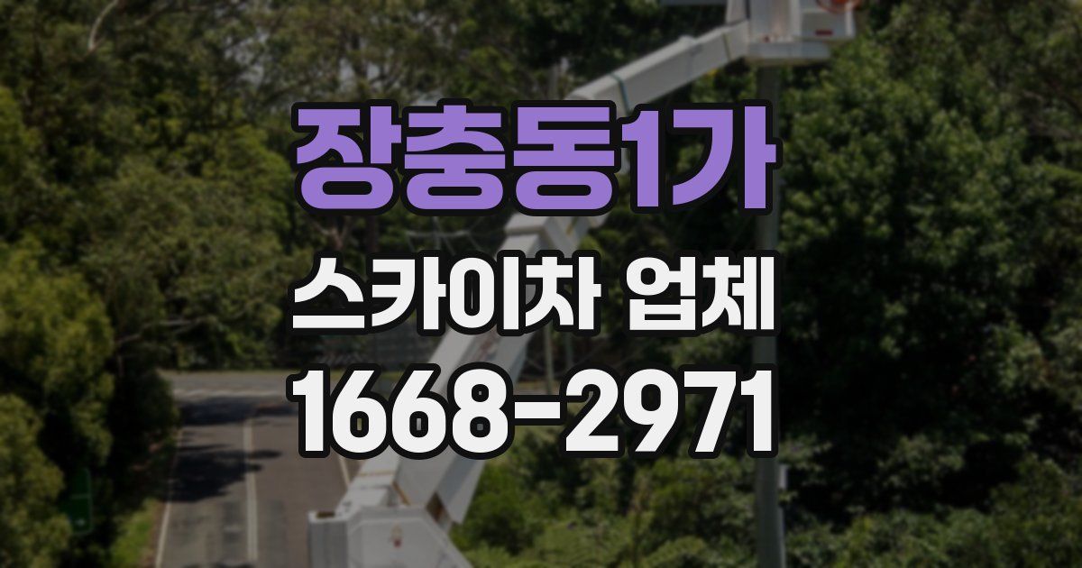 장충동1가 스카이차 업체