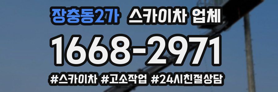 장충동2가 스카이차 업체