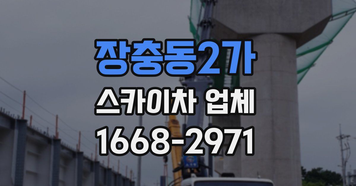 장충동2가 스카이차 업체
