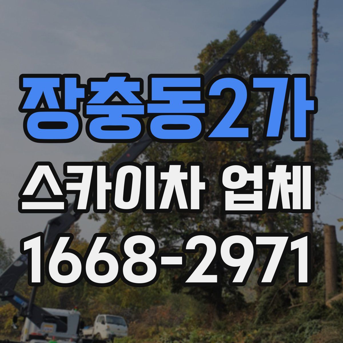 장충동2가 스카이차 업체