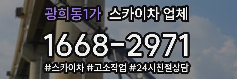 광희동1가 스카이차 업체