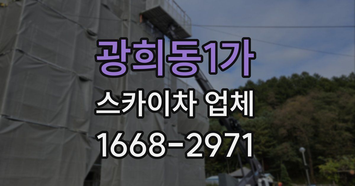 광희동1가 스카이차 업체