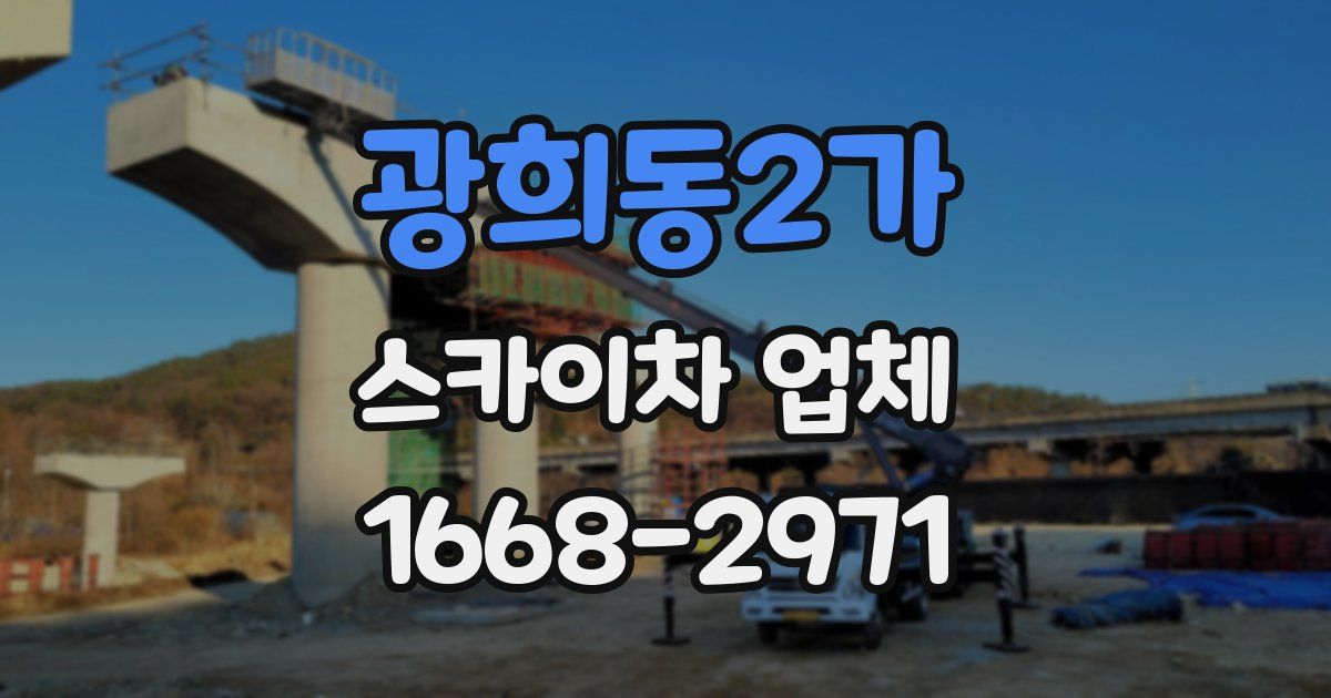 광희동2가 스카이차 업체