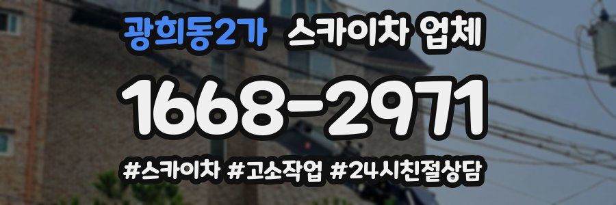 광희동2가 스카이차 업체