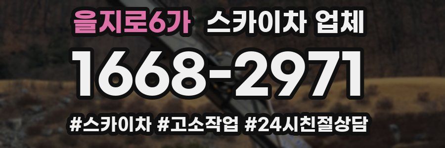 을지로6가 스카이차 업체