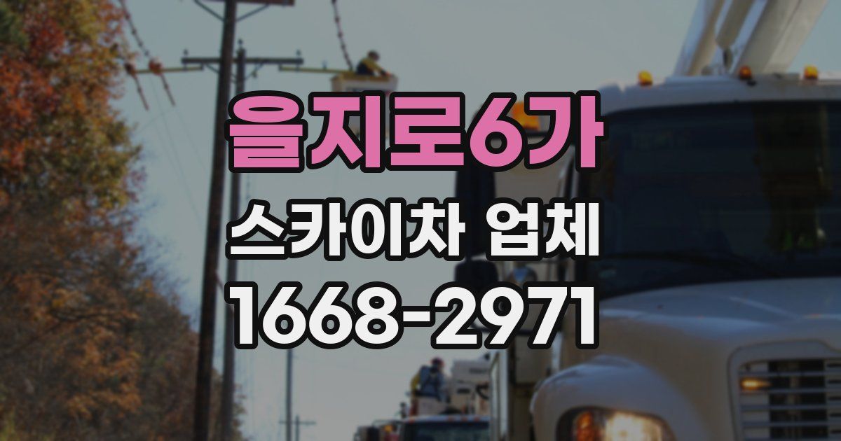 을지로6가 스카이차 업체