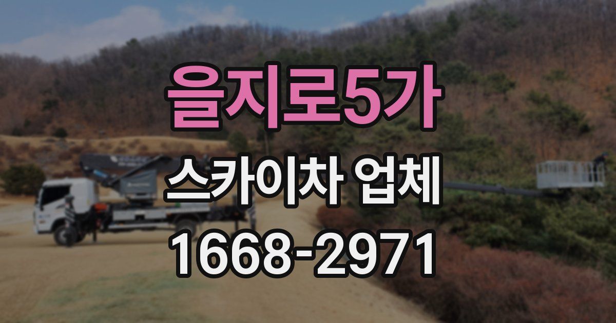 을지로5가 스카이차 업체