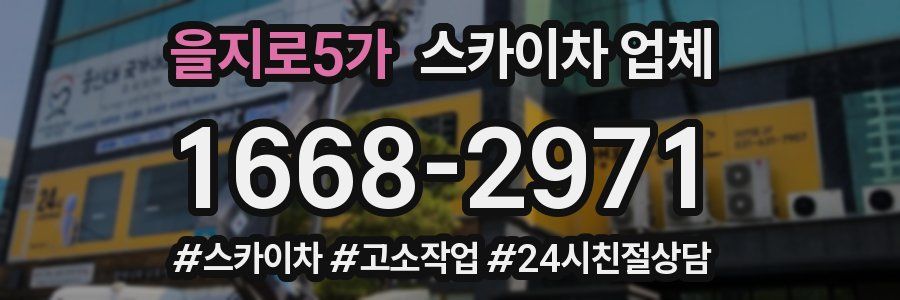 을지로5가 스카이차 업체