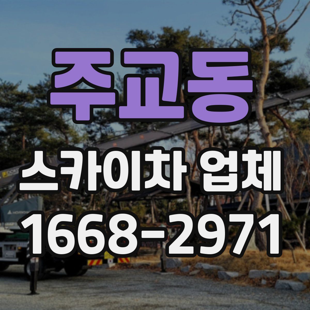 주교동 스카이차 업체