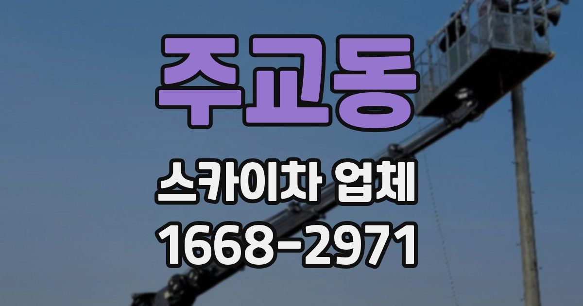 주교동 스카이차 업체