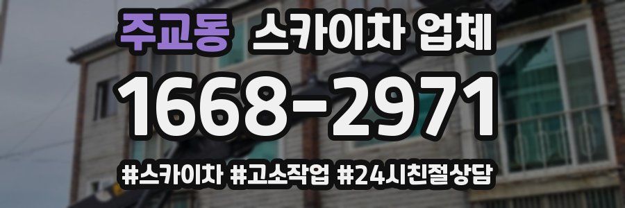주교동 스카이차 업체
