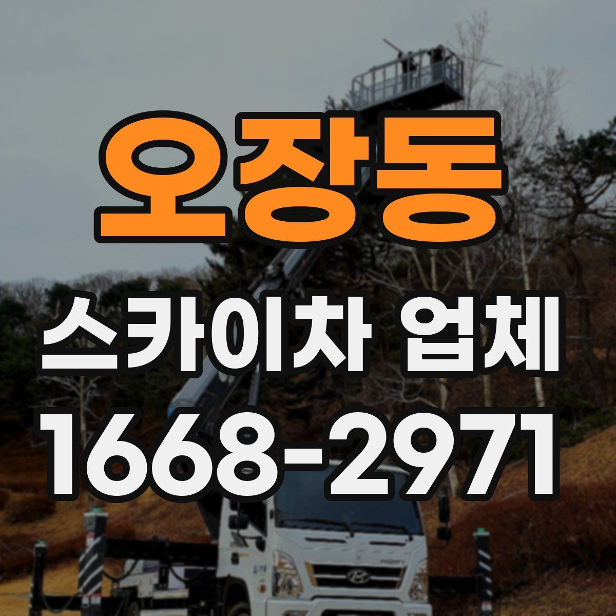 오장동 스카이차 업체