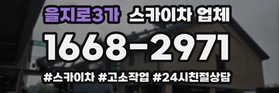 을지로3가 스카이차 업체