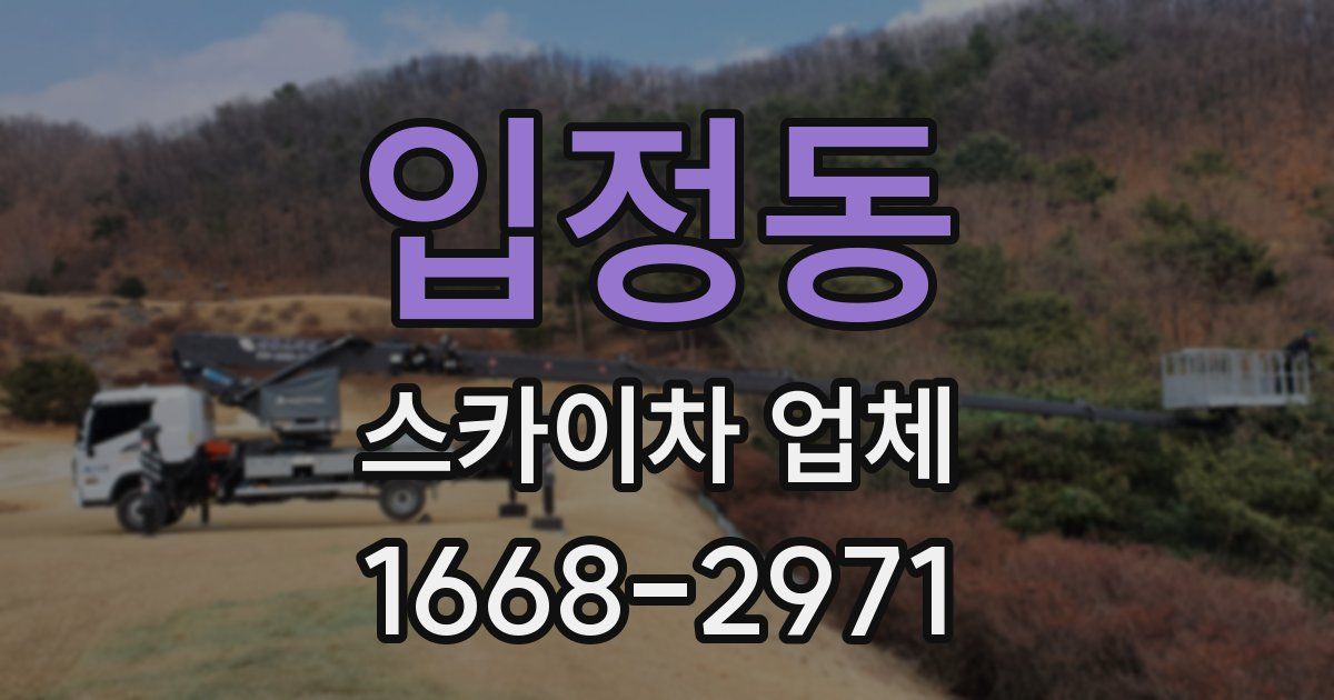 입정동 스카이차 업체