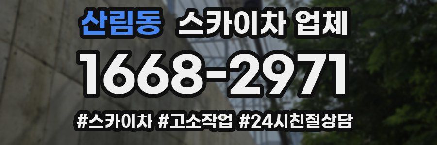 산림동 스카이차 업체
