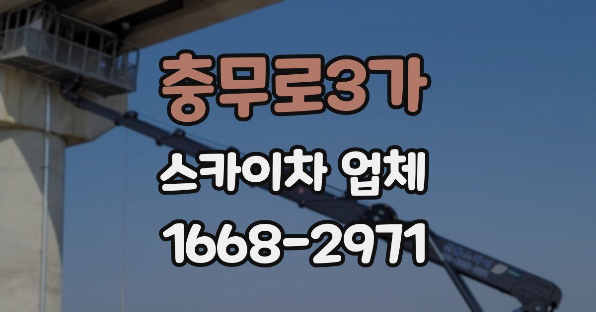 충무로3가 스카이차 업체