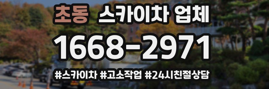 초동 스카이차 업체