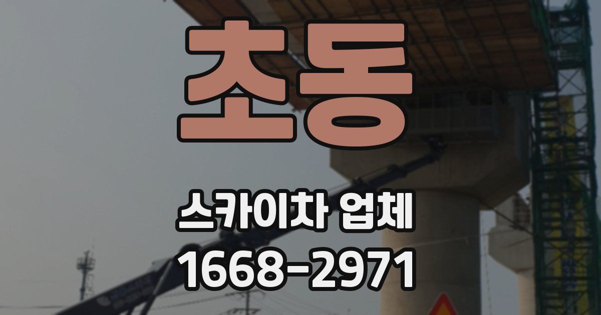 초동 스카이차 업체