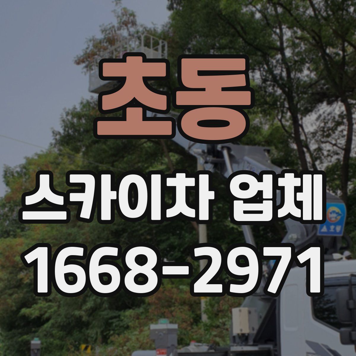 초동 스카이차 업체