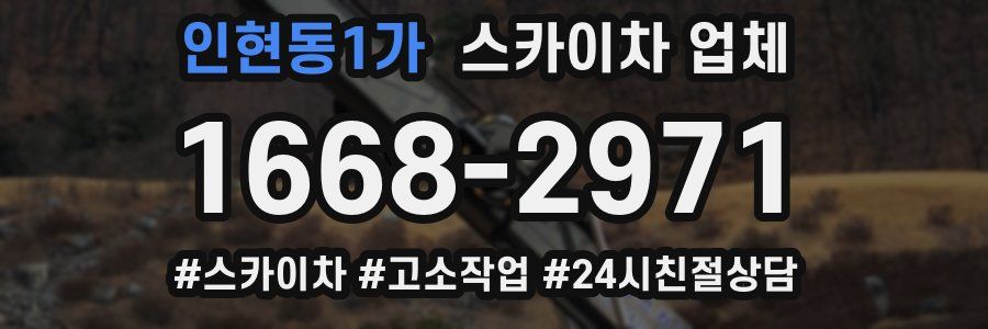 인현동1가 스카이차 업체