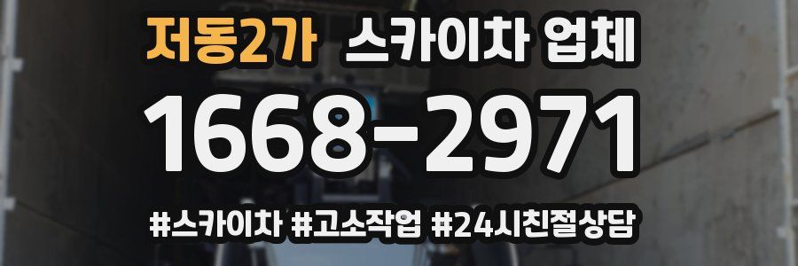 저동2가 스카이차 업체