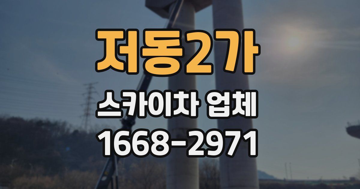 저동2가 스카이차 업체