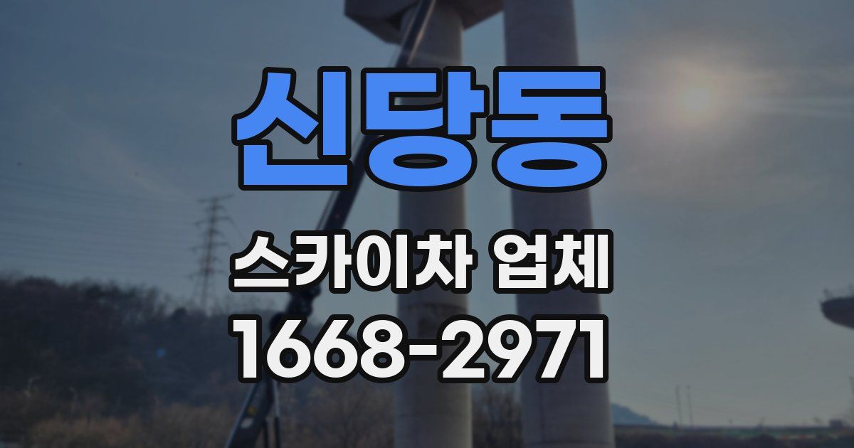 신당동 스카이차 업체