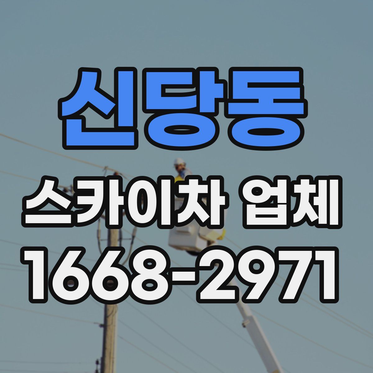 신당동 스카이차 업체