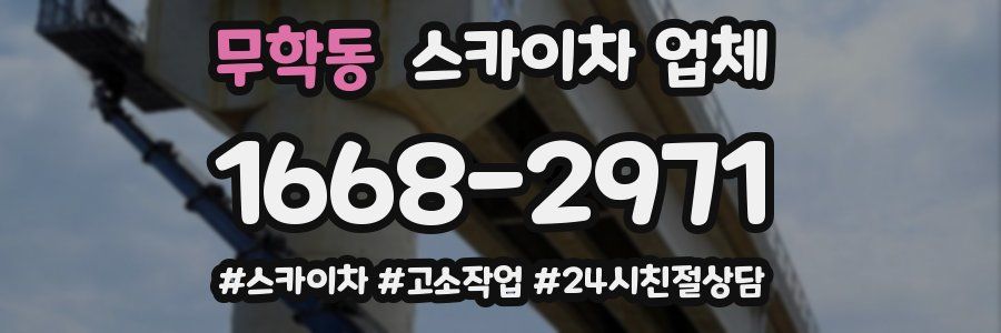 무학동 스카이차 업체