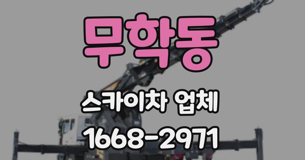 무학동 스카이차 업체