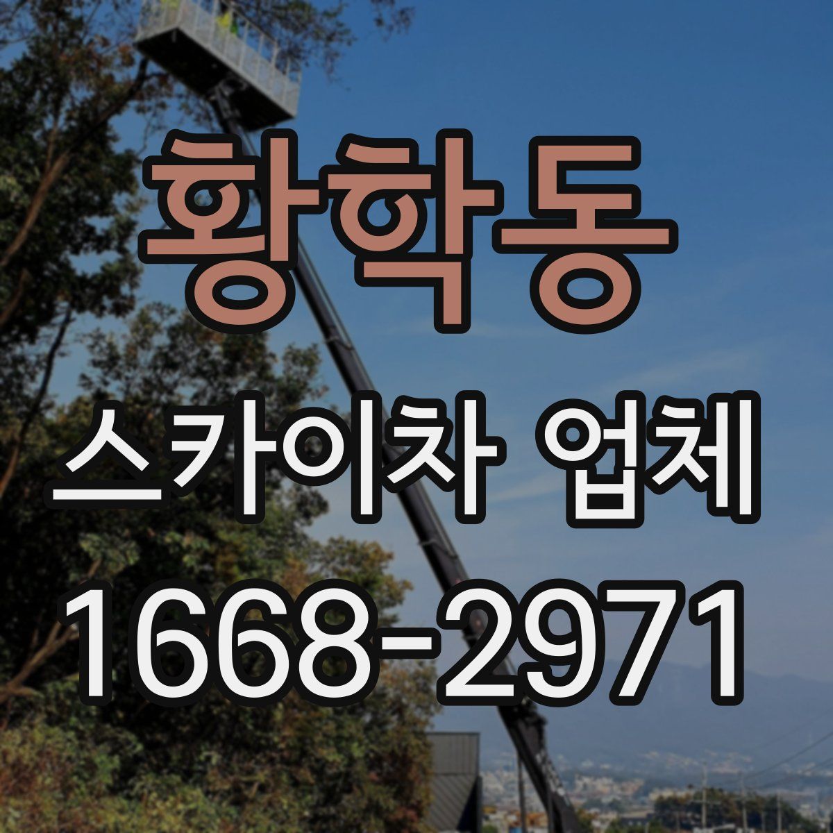황학동 스카이차 업체