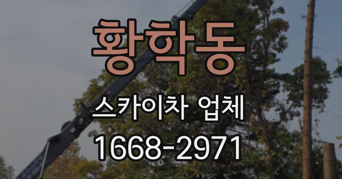 황학동 스카이차 업체