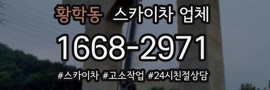 황학동 스카이차 업체