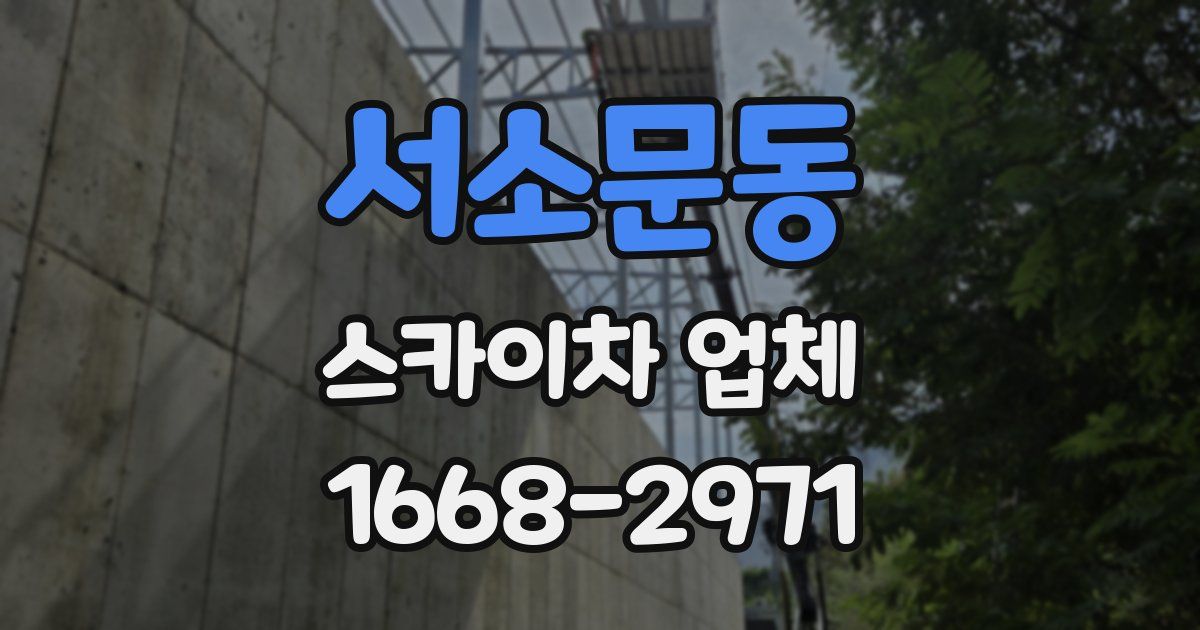 서소문동 스카이차 업체