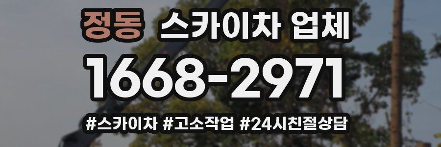 정동 스카이차 업체