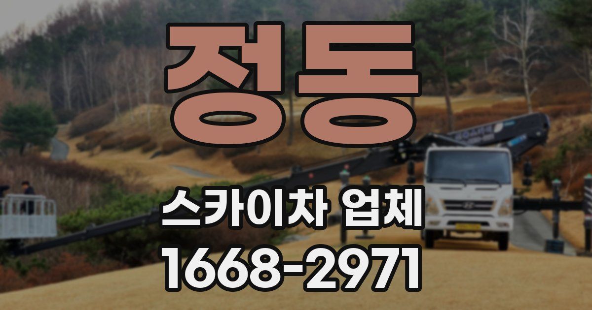 정동 스카이차 업체