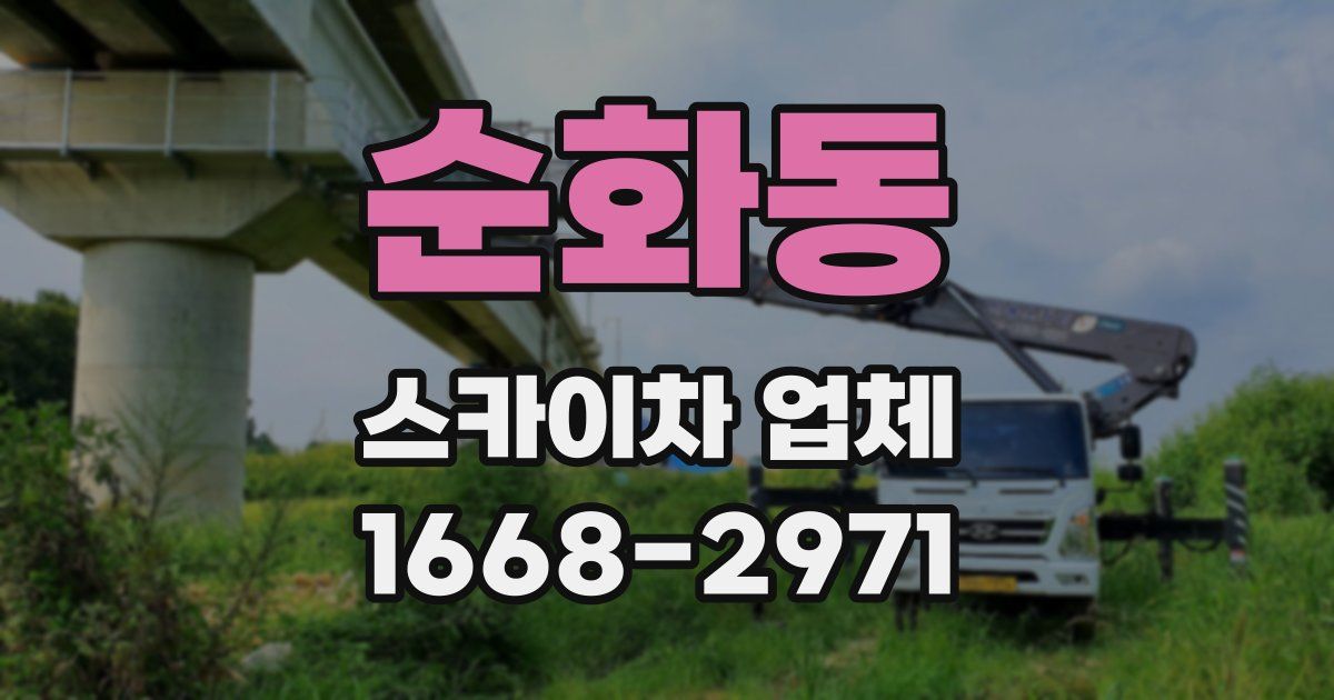 순화동 스카이차 업체