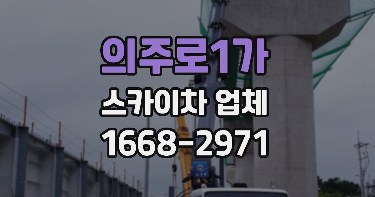 의주로1가 스카이차 업체