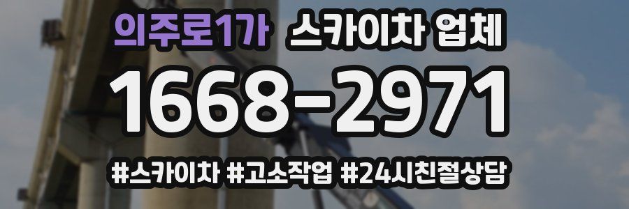 의주로1가 스카이차 업체