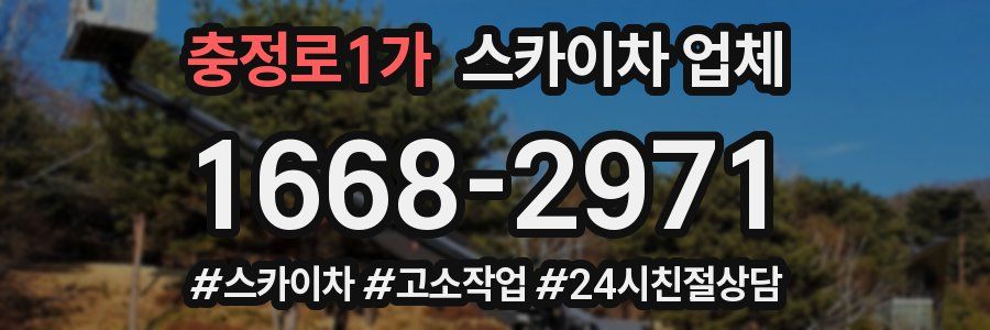 충정로1가 스카이차 업체