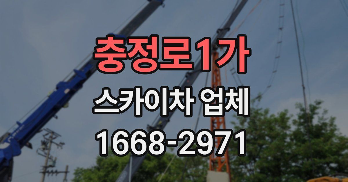 충정로1가 스카이차 업체